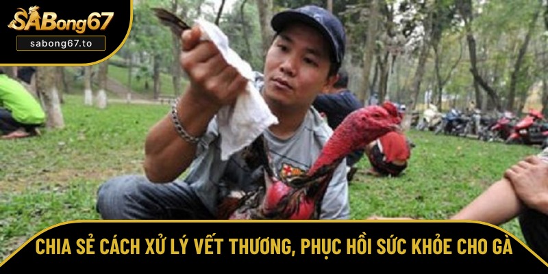 Hướng dẫn chăm sóc cho gà sau khi đá về