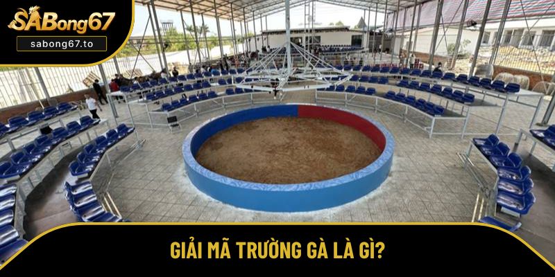 Hiểu đúng về trường gà là gì?