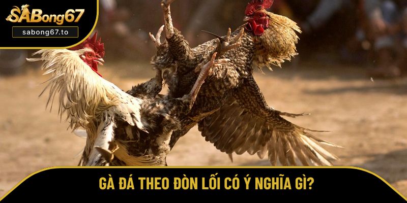 Hiểu rõ đòn lối của chiến kê