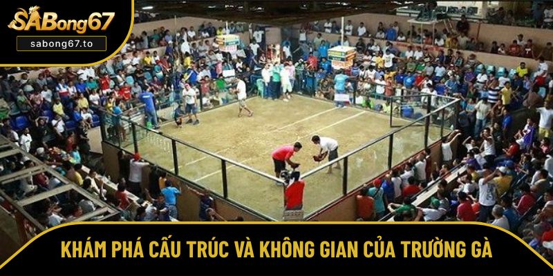 Tìm hiểu chi tiết về cấu trúc và không gian của sới