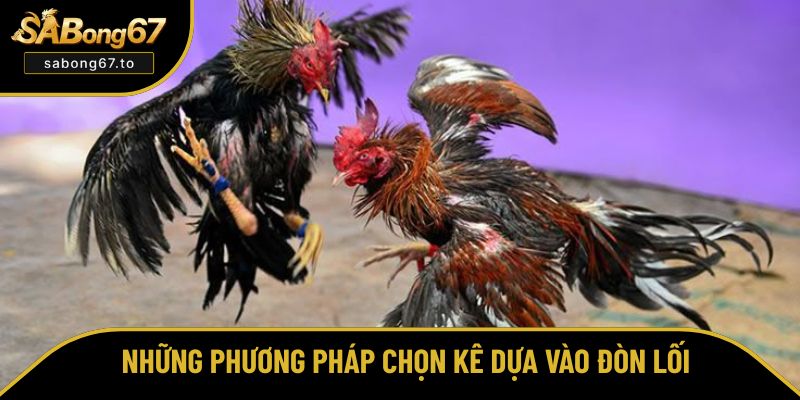 Những phương pháp chọn kê dựa vào đòn lối