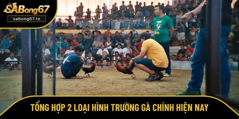 Những loại trường gà xuất hiện nhiều nhất hiện nay