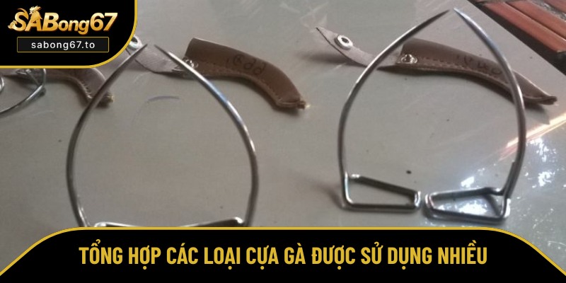 Top 2 loại cựa gắn cho gà thường gặp nhất