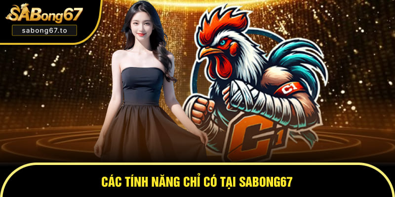 tinh-nang-sabong67